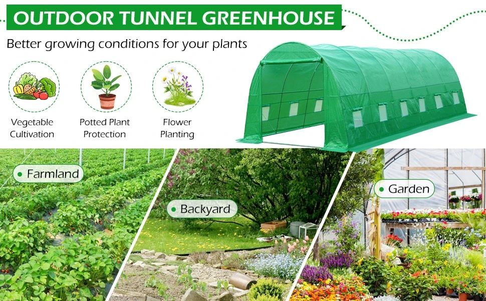 product-750-464 6x3x2-greenhouse7