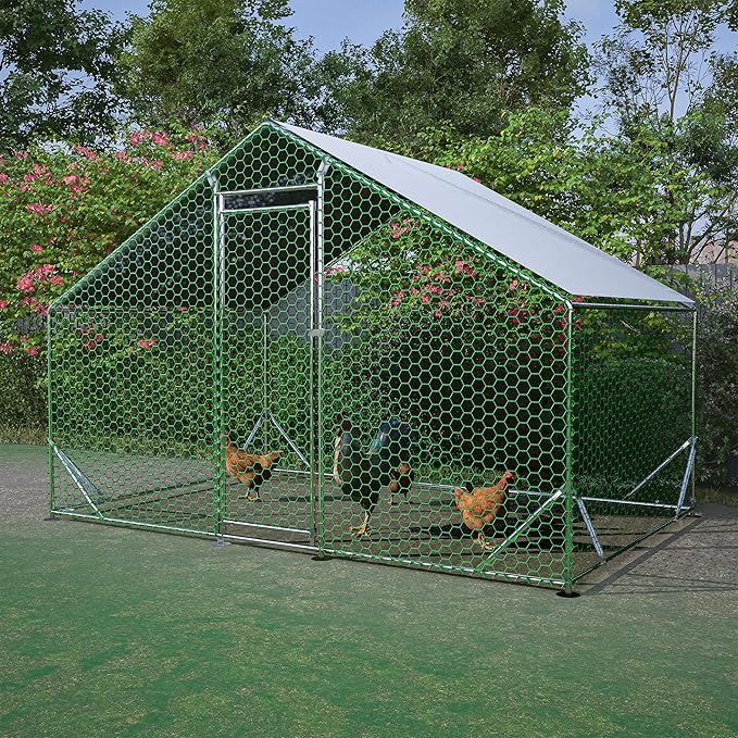 chicken coop1 chicken coop1