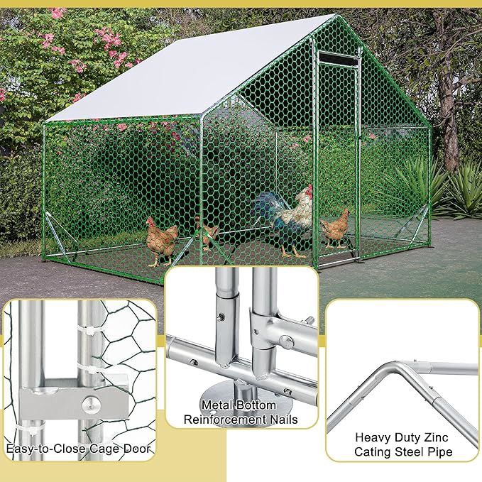 chicken coop4 chicken coop4