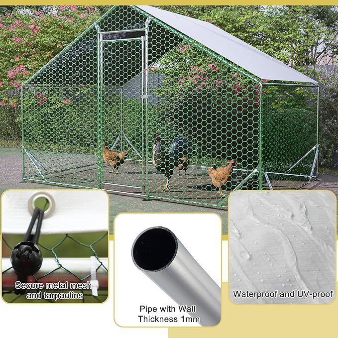 chicken coop5 chicken coop5