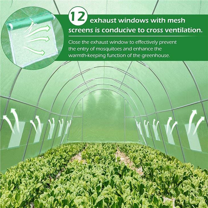 6x3x2 greenhouse2
