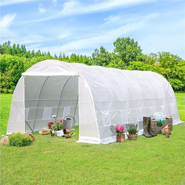 6x3x2 greenhouse6
