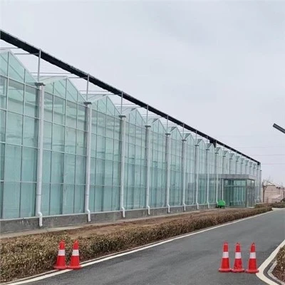 Poljoprivredni poli tunel zelena kuća/plastenik rajčice za prodaju tunel staklenik